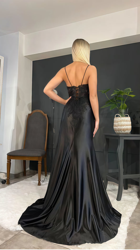 Spaghetti Straps V-neck Prom Dress, Appliques Evening Party Dress