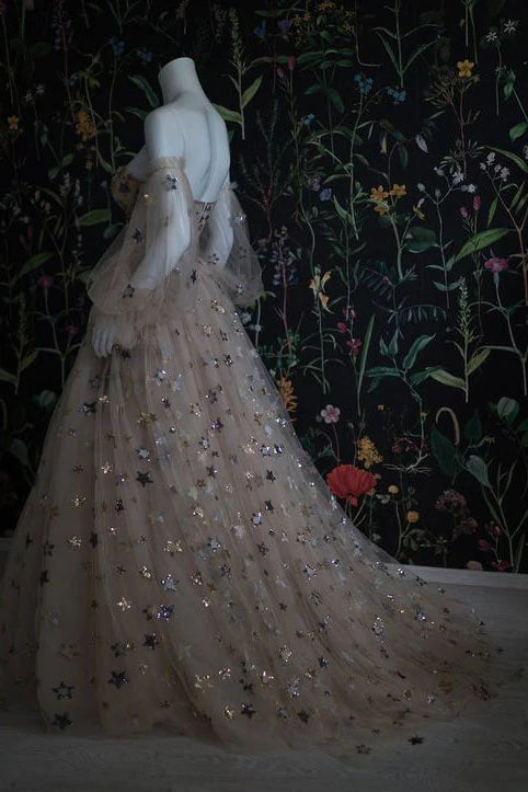 PM108,Chic Long Sweetheart Front Split Star Prom Dresses With Sleeves