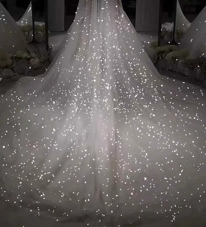 Sparkle White Sequined Wedding Veil