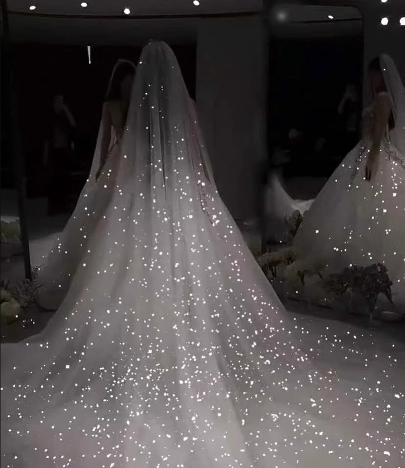 Sparkle White Sequined Wedding Veil
