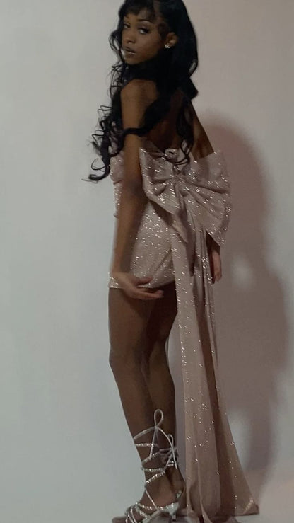 Sparkly Homecoming Dress Short Evening Dress Cocktail Dresses Short Party Dress With Bow