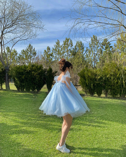 Baby Blue Tie Up Organza A-Line Homecoming Dresses