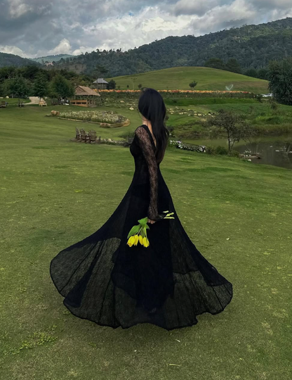 Black Lace Sexy A Line Long Sleeve Evening Dress Prom Dresses Formal Gown